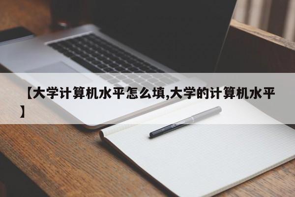 【大学计算机水平怎么填,大学的计算机水平】