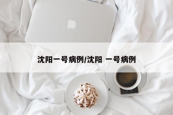 沈阳一号病例/沈阳 一号病例