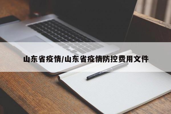 山东省疫情/山东省疫情防控费用文件